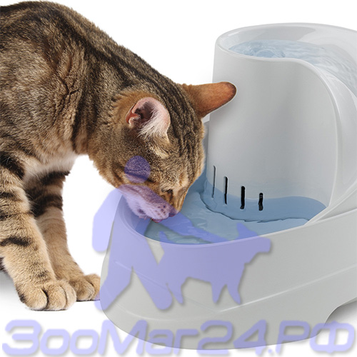 Vega store pet fountain